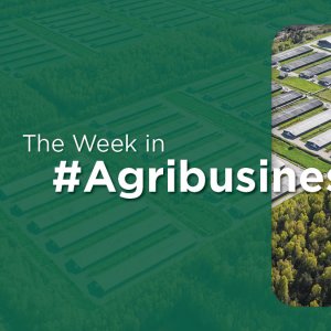 UNAM Discovers Good Bacteria: The Week in Agribusiness