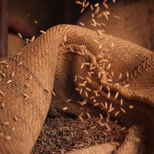 Mexico Sets Import Quotas for Rice, Beef, and Pork for 2026