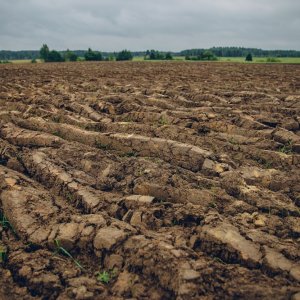 FAO Warns of Urgent Land Degradation Risks in Latin America