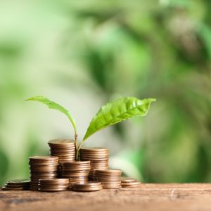 Mexico Advances Sustainable Finance With SDG Bonds