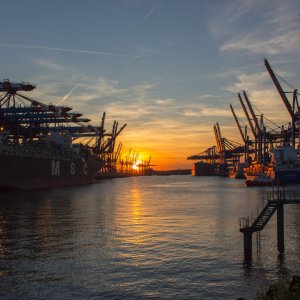 Manzanillo Closes 2025 as Mexico’s Leading Port
