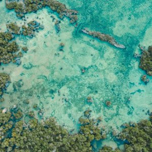 Carbon Credits to Drive Quintana Roo’s 2026 Agenda: Sustentur