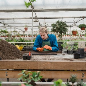 UPL Opens US$1.5-Million Sustainable Greenhouses in Coahuila