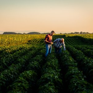 The Year in Agribusiness: Mexico’s Agrifood Sector in 2025