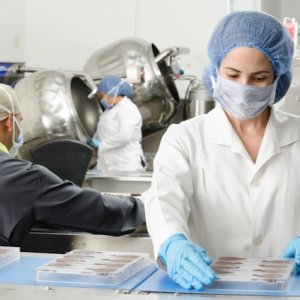 New WHO Manuals Highlight Shift Toward Preventive Food Safety