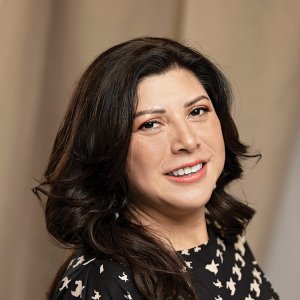 Zero Corruption: Institutional Trust as a Strategic Goal